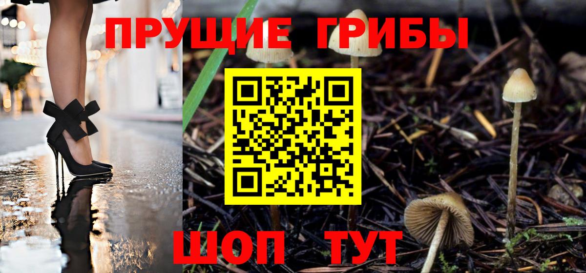 Озёрск  где купить наркоту  Вход с VPN  Псилоцибиновые грибы Magic Shrooms 