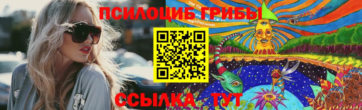 Галлюциногенные грибы Cubensis Озёрск